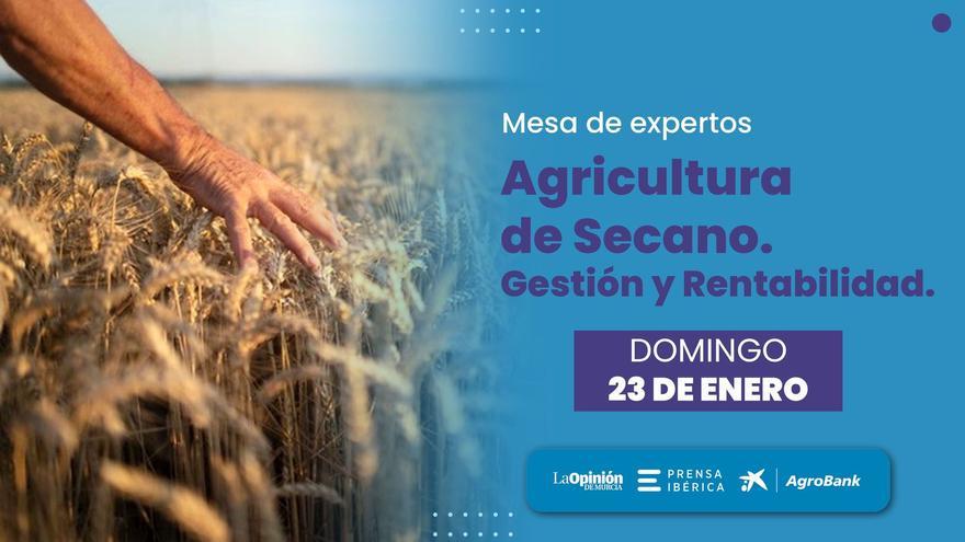 El rendimiento y futuros retos del Secano en el sector agrícola (I)