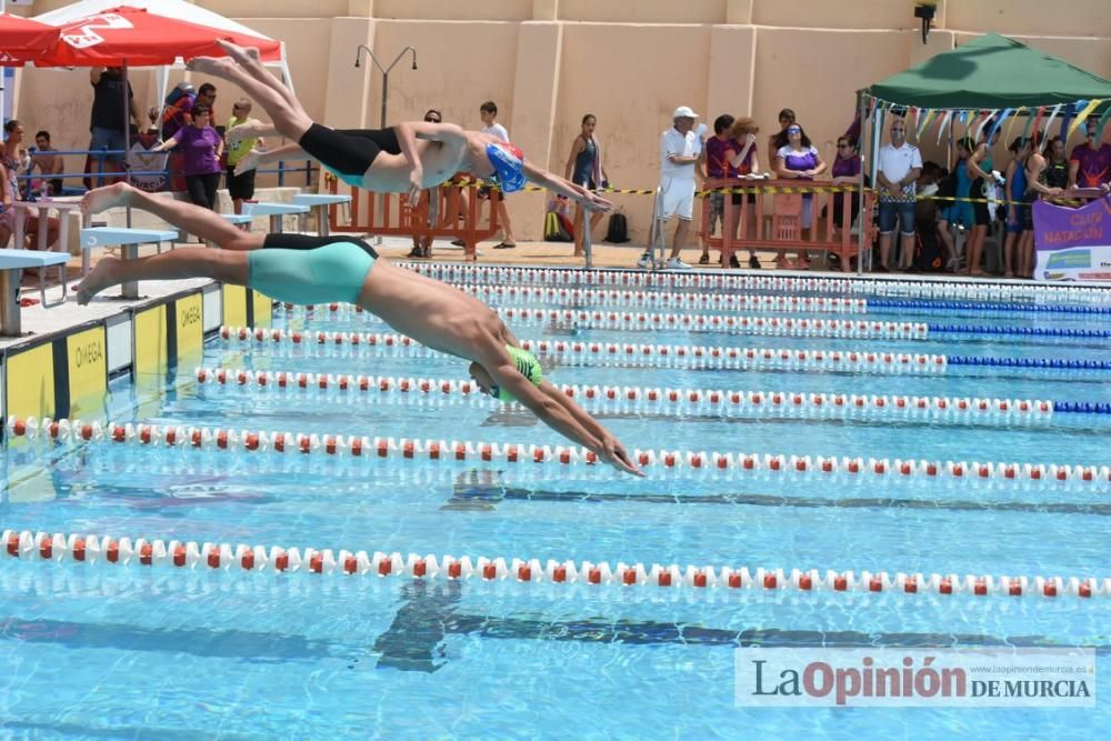 Final del Campeonato regional de natación.