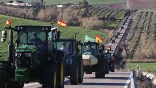 La Eurocámara aprueba la reforma de la PAC que suaviza las exigencias medioambientales