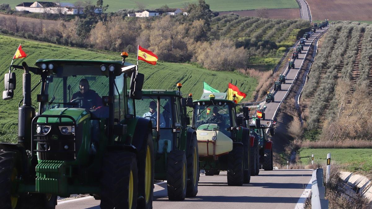 El acuerdo de la Eurocámara responde a las protestas de los agricultores.