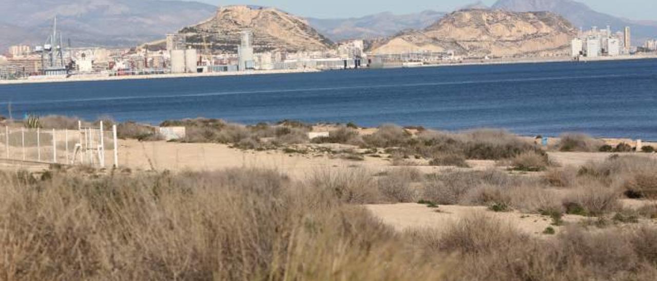 La zona escogida para construir el aparcamiento y el área de esparcimiento forma parte del cordón dunar asociado al saladar de Agua Amarga.