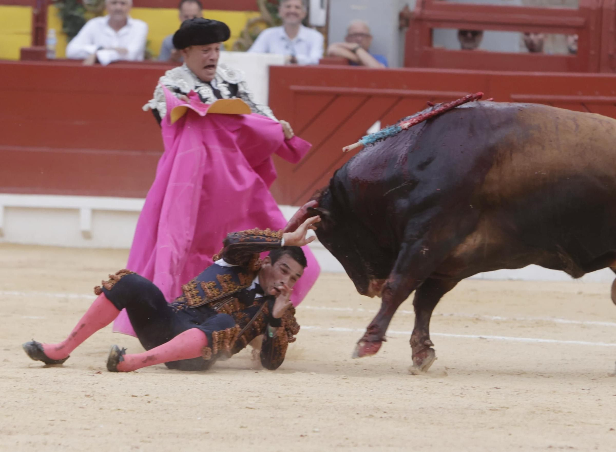 Susto en el cuarto toro de Manzanares en la Feria de Hogueras 2025