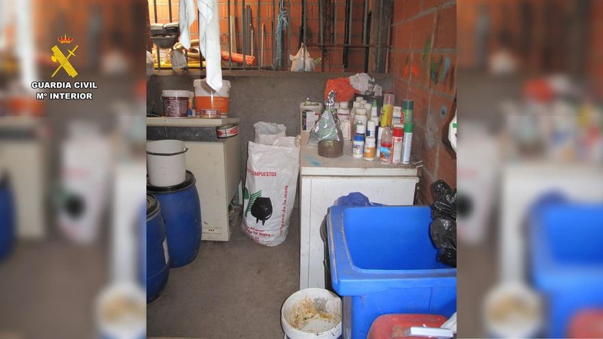 Investigado por envenenar aves protegidas y un gato doméstico en Majadas de Tiétar