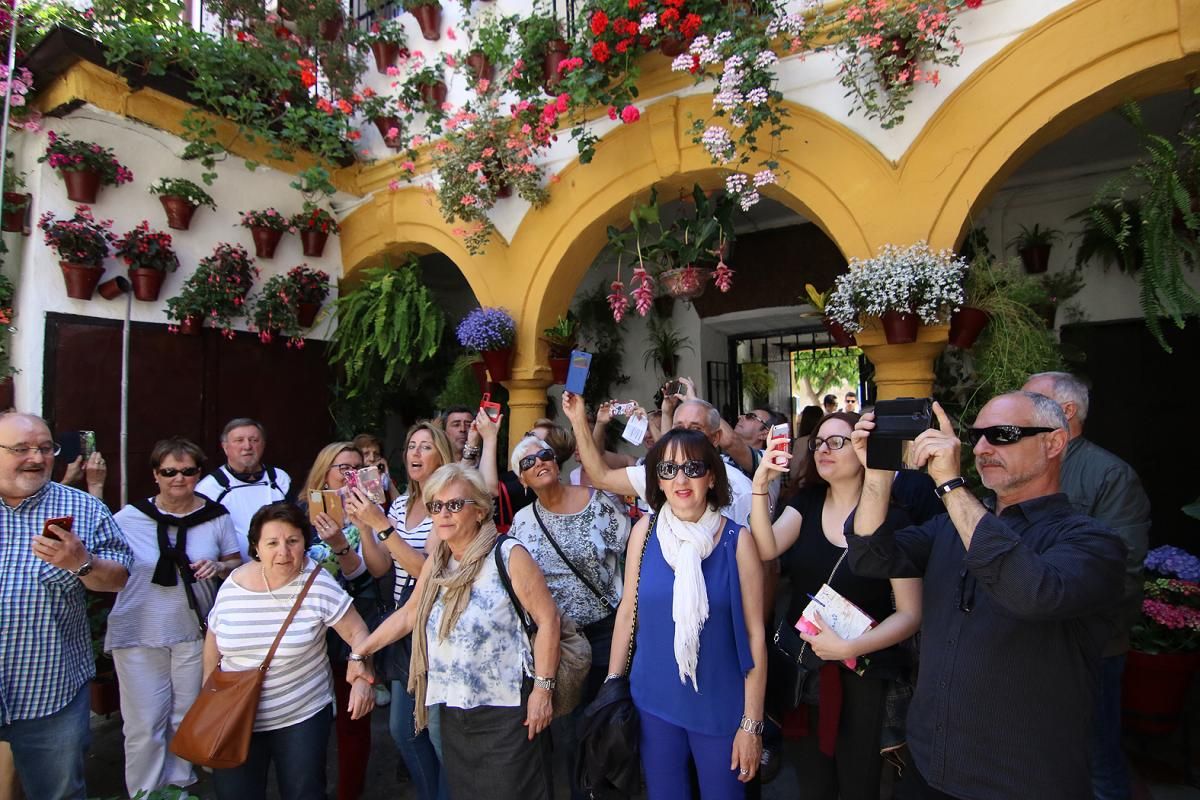 Fotogalería / Empieza el Concurso de Patios Cordobeses