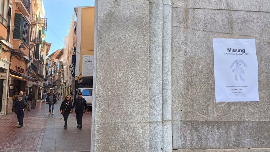 Carteles en Palma para encontrar un conejo de peluche perdido