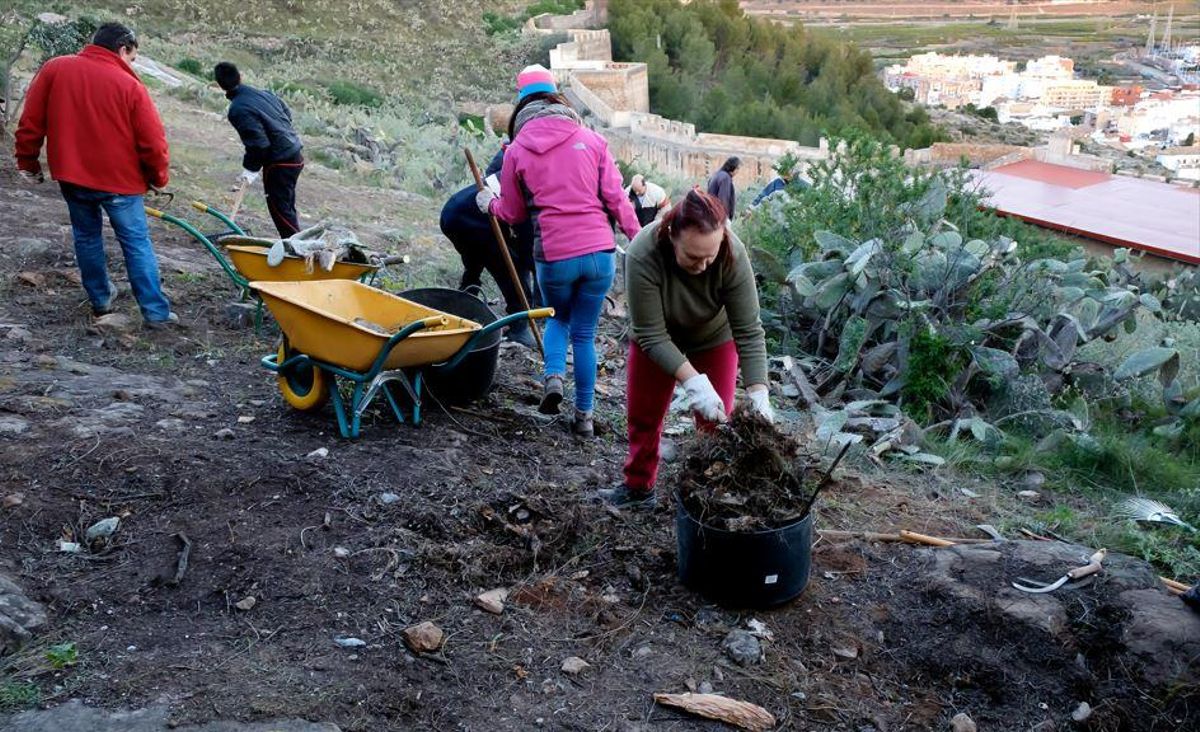 Voluntarios, en plena retirada de las chumberas.