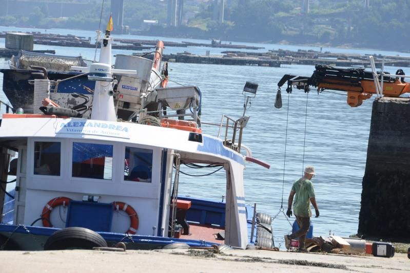 Bateeiros en el polígono ubicado frente al puente de Rande. |  GONZALO NÚÑEZ