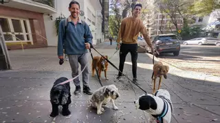 Los perros también sufren