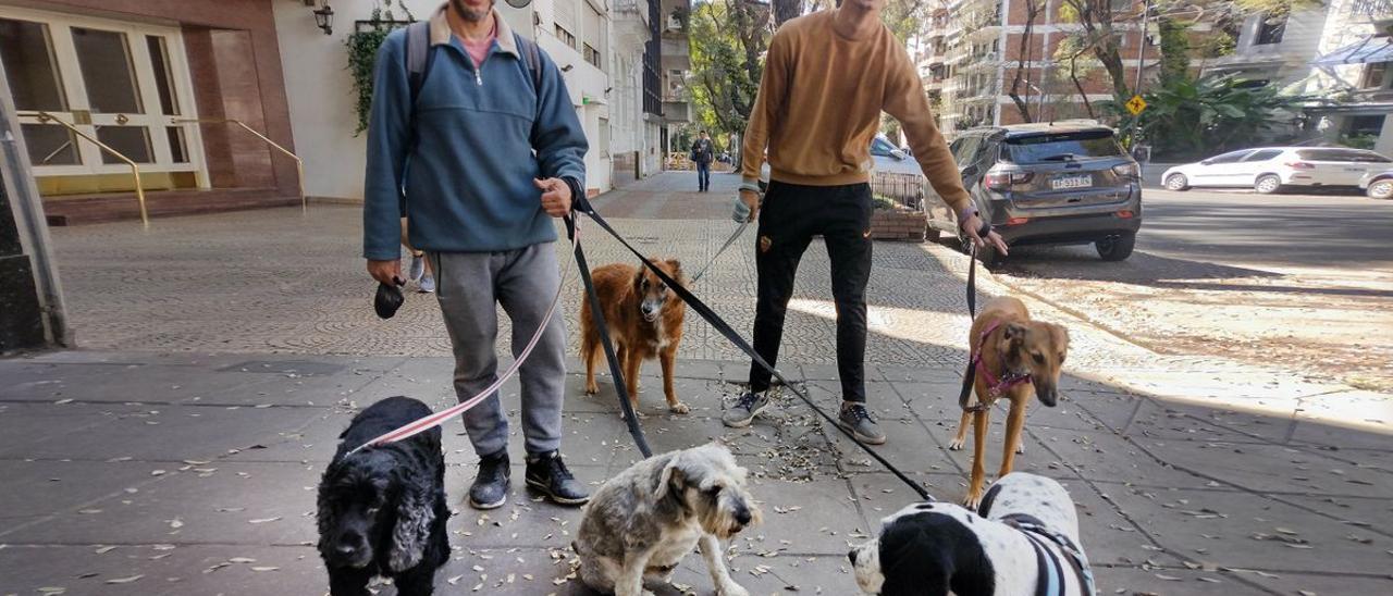 Paseadores de mascotas en Buenos Aires.