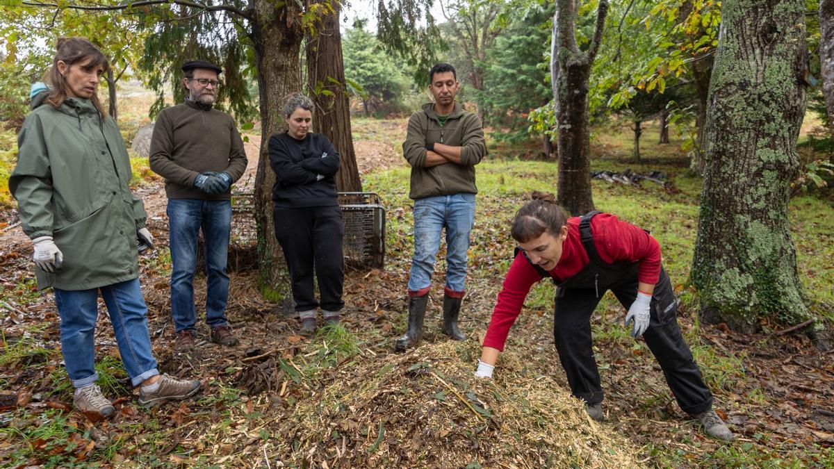 O Laboratorio Ecosocial do Barbanza impulsa un obradoiro pioneiro de prospectiva comunitaria para a xestión dos montes