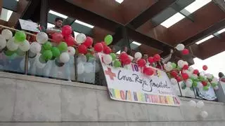 Zamora celebra el lunes el Día del Niño Hospitalizado