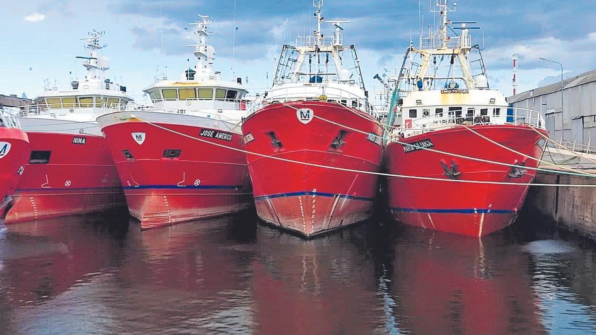 Flota congeladora amarrada en Mar del Plata