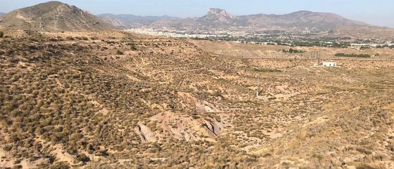 Paisaje desértico situado entre los términos de Monóvar y Elda donde se aprecia al fondo la sierra del Cid-Maigmó.