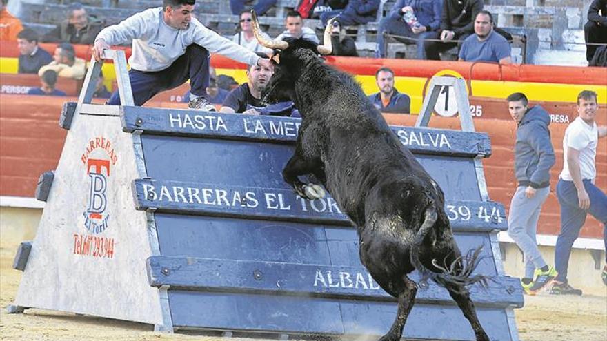 ‘Airosa’, de Benavent, la mejor vaca de corro