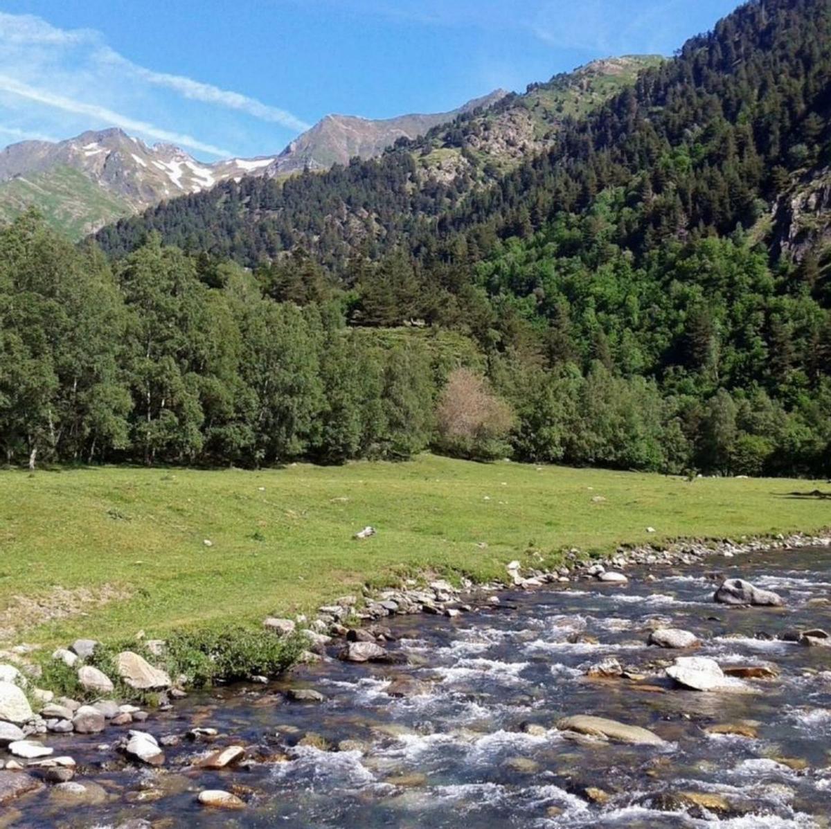 La Noguera Pallaresa serà el primer "riu salvatge" d’Espanya La Noguera Pallaresa serà el primer "riu salvatge" d’Espanya
