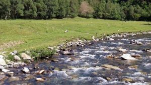 La Noguera Pallaresa serà el primer "riu salvatge" d’Espanya