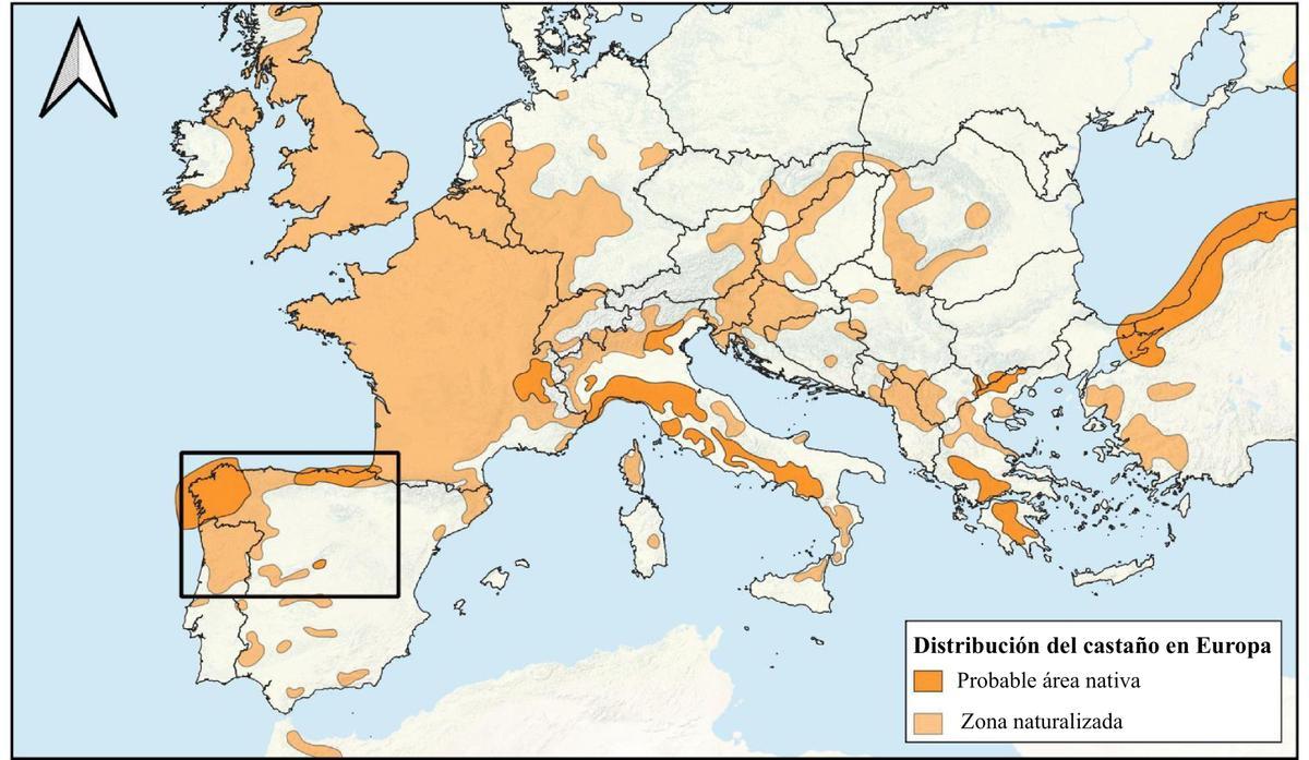 Distribución del castaño en Europa.