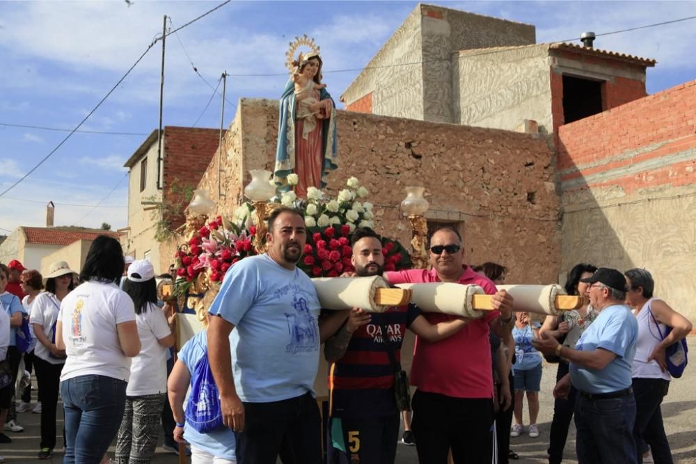 Romería de la Virgen del Rosario en Barinas