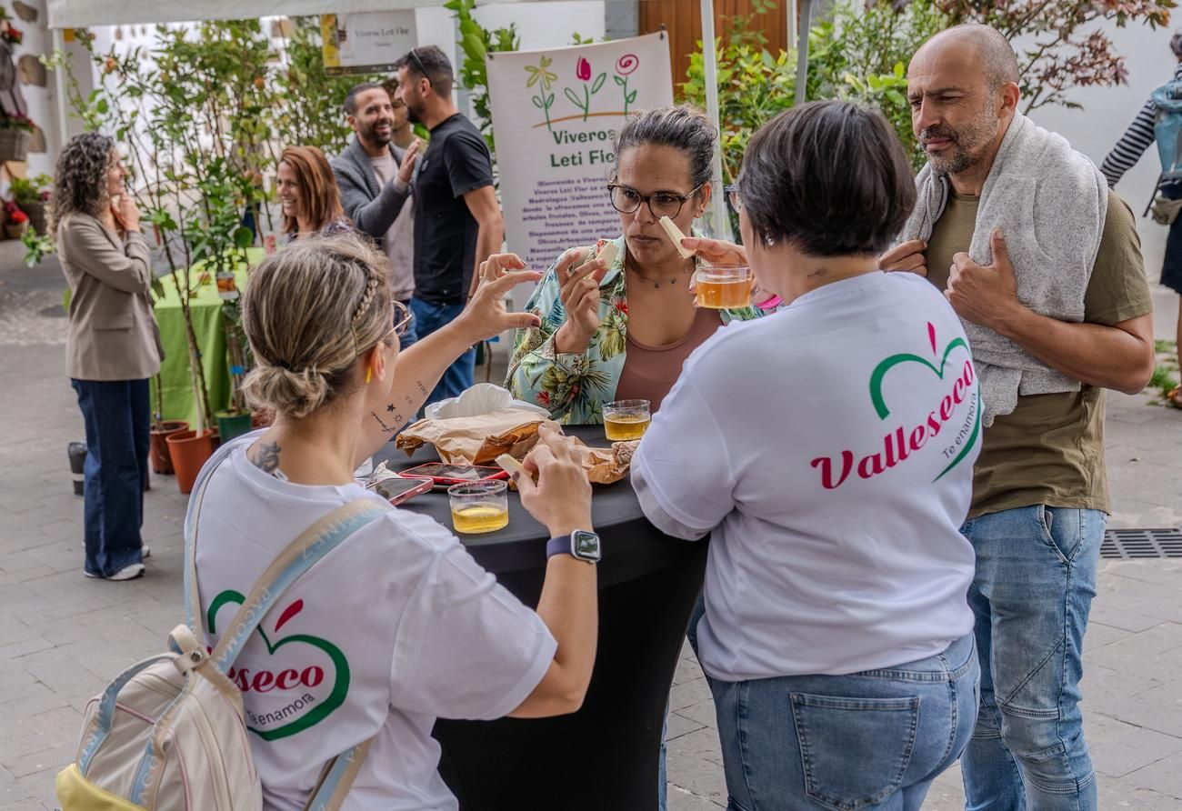 Feria Sabor y Tradición en Valleseco
