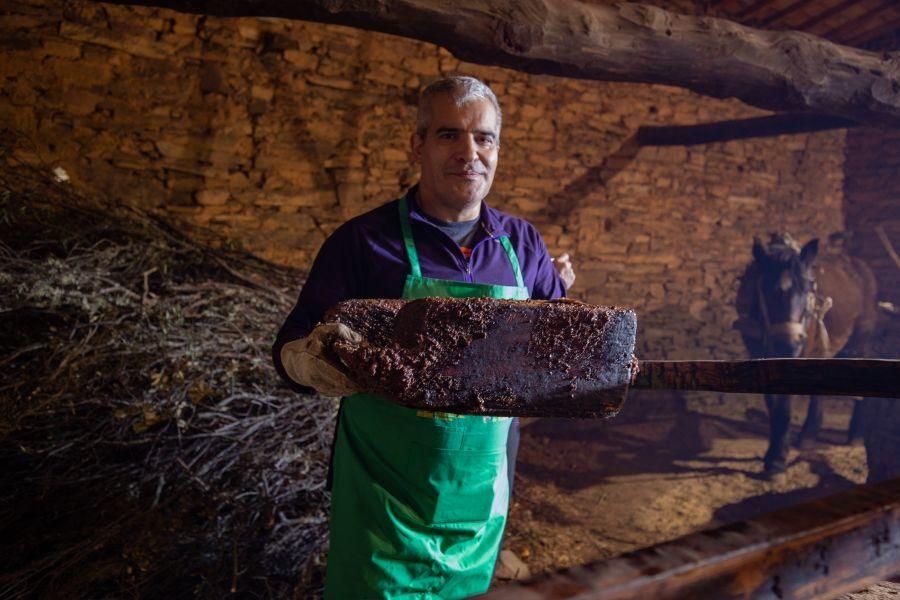 Elaboración de aceite en el molino de Latedo