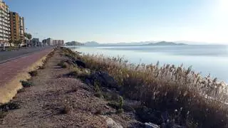 La propuesta de la Comunidad para el Plan Nacional de Restauración incluye 44.225 hectáreas de monte y todo el Mar Menor