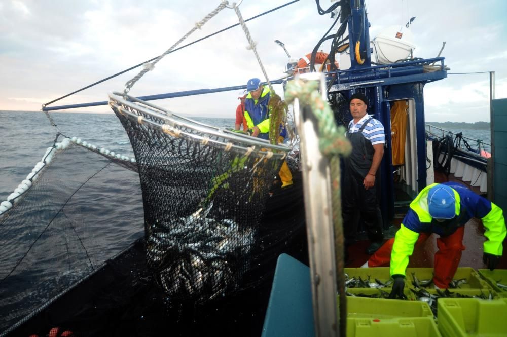 Jornada de pesca de bajura // I.Abella