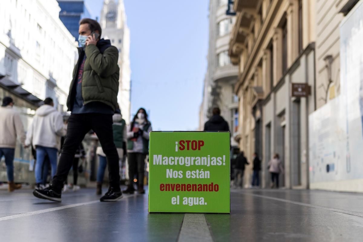 La organización ecologista asegura en su nota que la producción de carne en España ha crecido casi un 1.000% desde los años 80, frente a poco más del 150% que lo ha hecho en la UE. Además, señalan que en España la inmensa mayoría de los alimentos de origen animal proviene de la ganadería industrial, a la que responsabilizan de contaminar el agua por nitratos y de provocar emisiones de gases de efecto invernadero y de amoníaco.