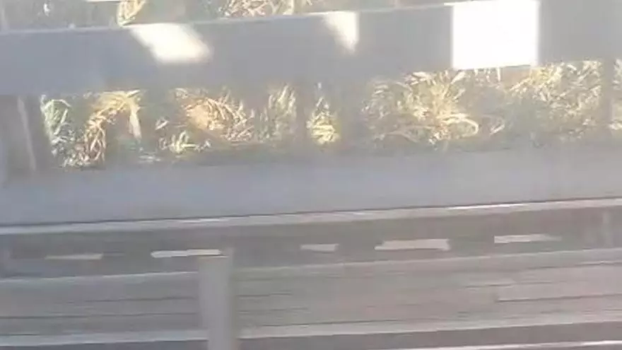 Així circulen els trens de Rodalies pel punt negre entre Alzira i Carcaixent