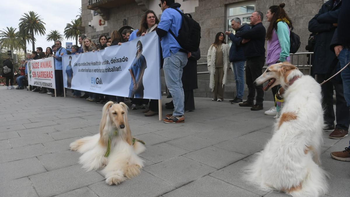 Concentración frente a la Delegación del Gobierno.
