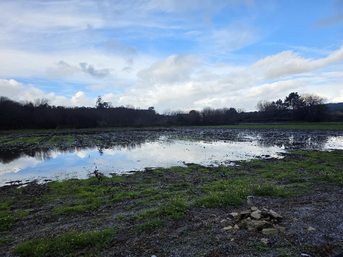Una finca de labranza totalmente anegada, en Pontearnelas.