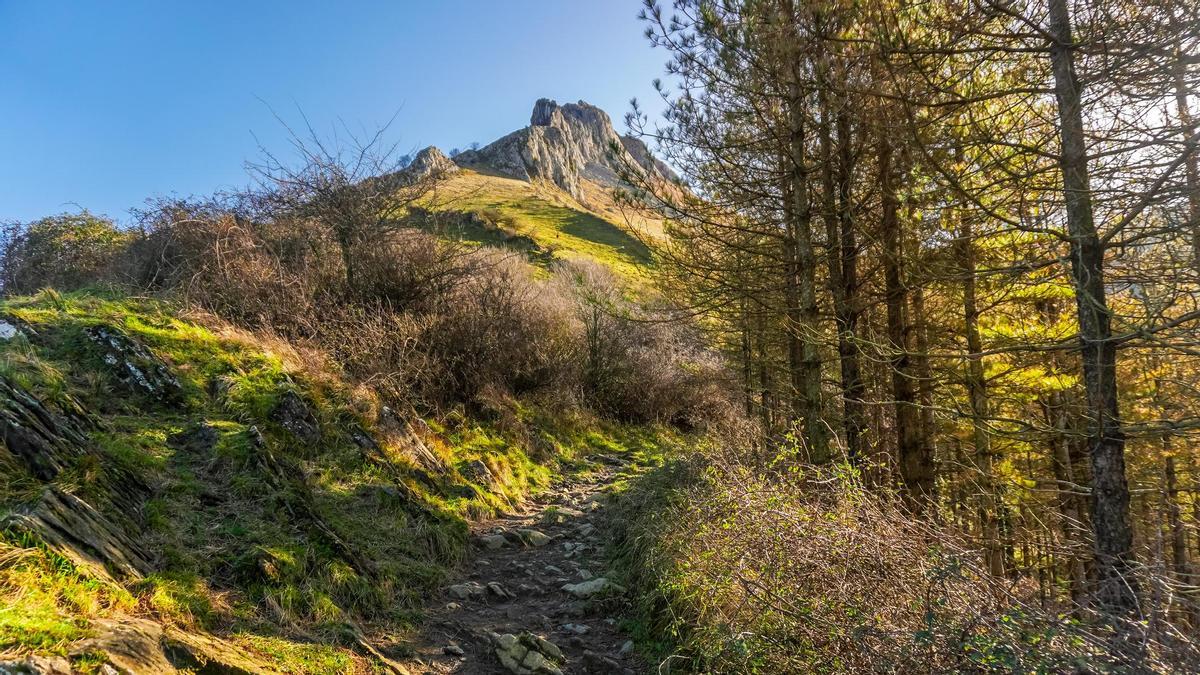 Tres jorobas que aguardan una infinita belleza.