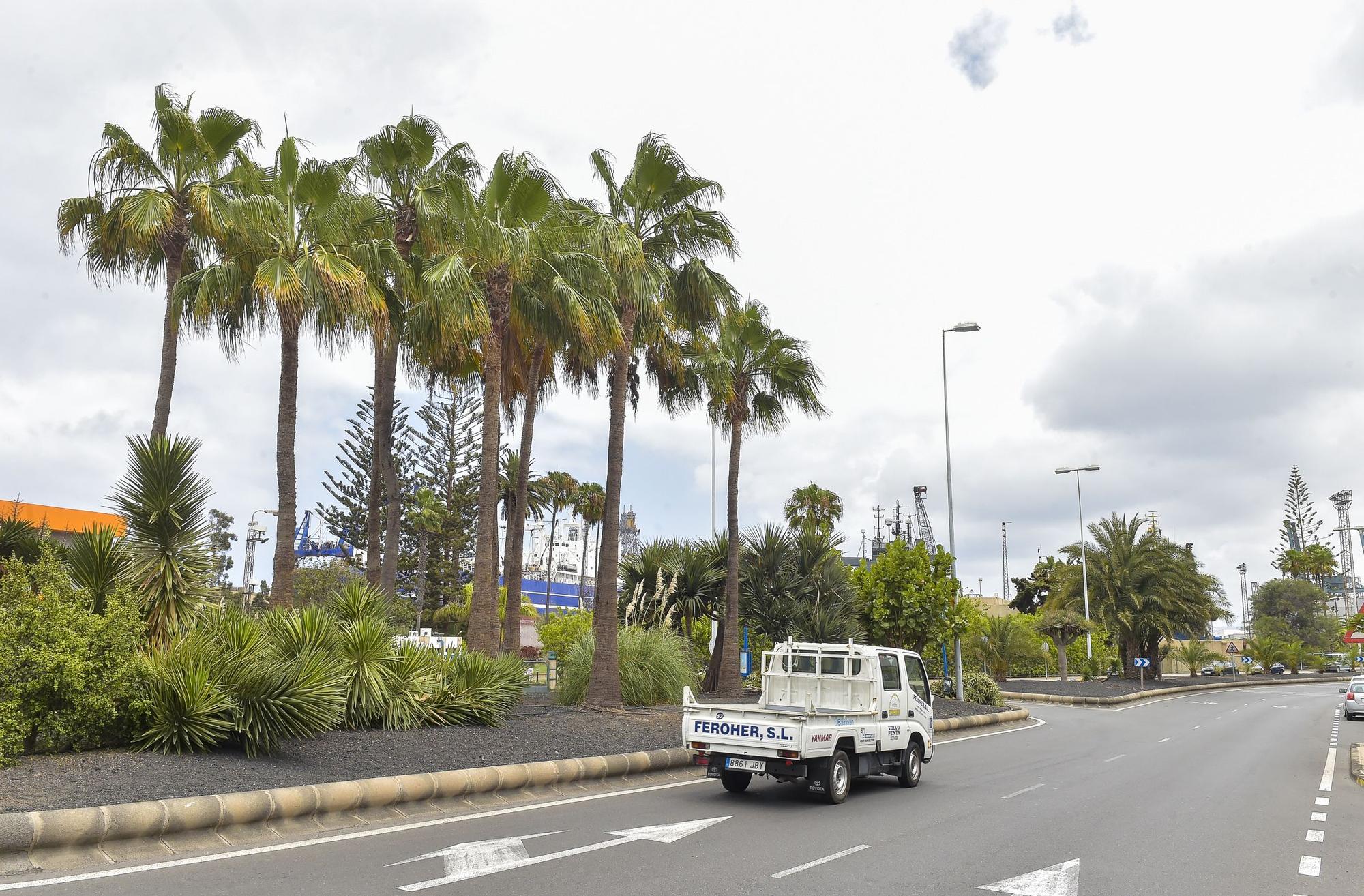 Zonas ajardinadas en el Puerto de La Luz y Las Palmas