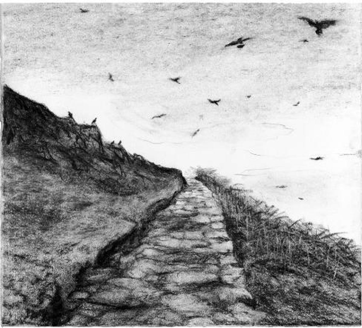 Los trazos del caminante