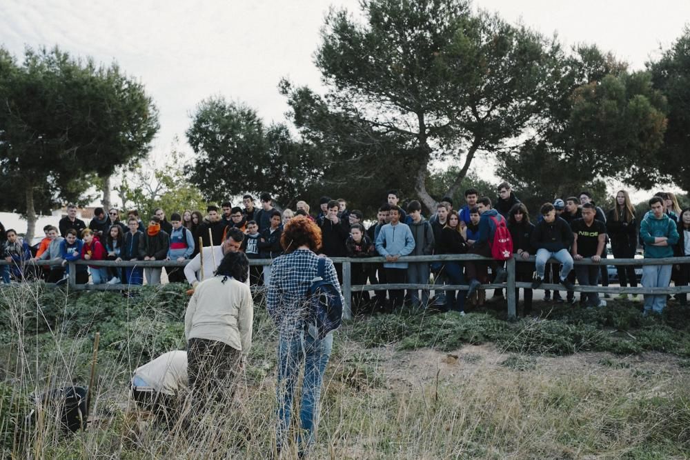 Plantación de especies autóctonas de alumnos del IES Mare Nostrum el día del arbol en el parque natural de las lagunas