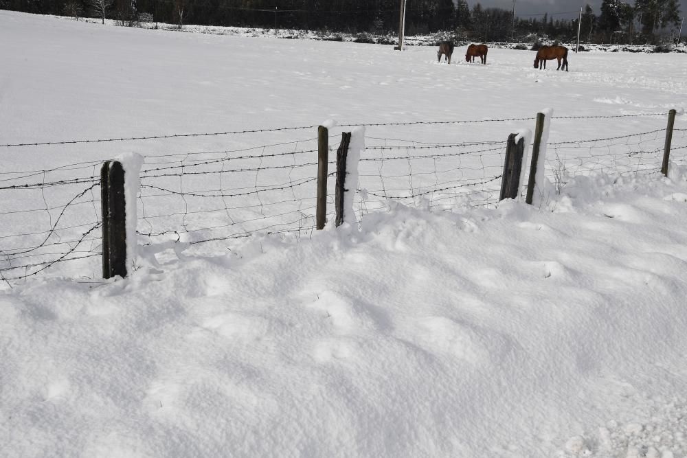 La nieve llega a la montaña de A Coruña