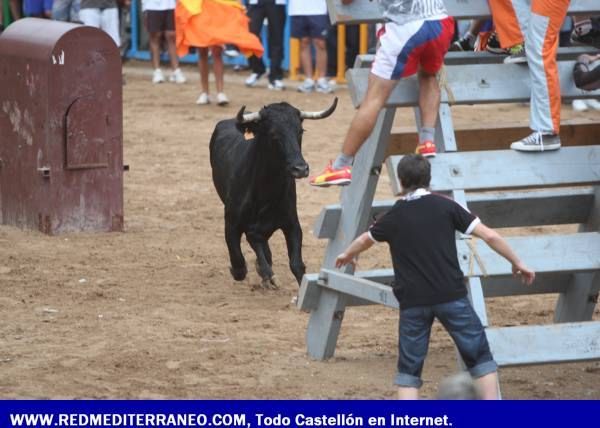 PRIMERA JORNADA DEL CONCURSO DE GANADERÍAS. LA VILAVELLA 2009.