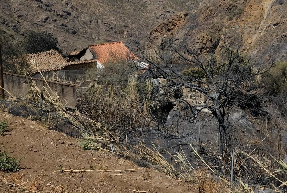 Tejeda tras el incendio