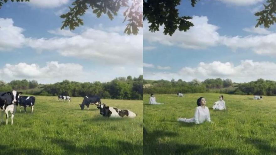 Polémica por un anuncio de leche que muestra a las mujeres como vacas a ordeñar
