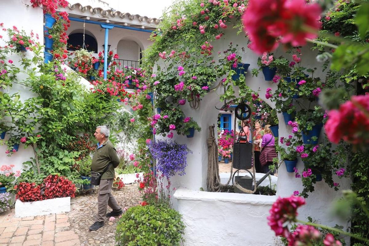 Centro de interpretación de los patios, en Trueque 4, que solo es visitable en estas fechas