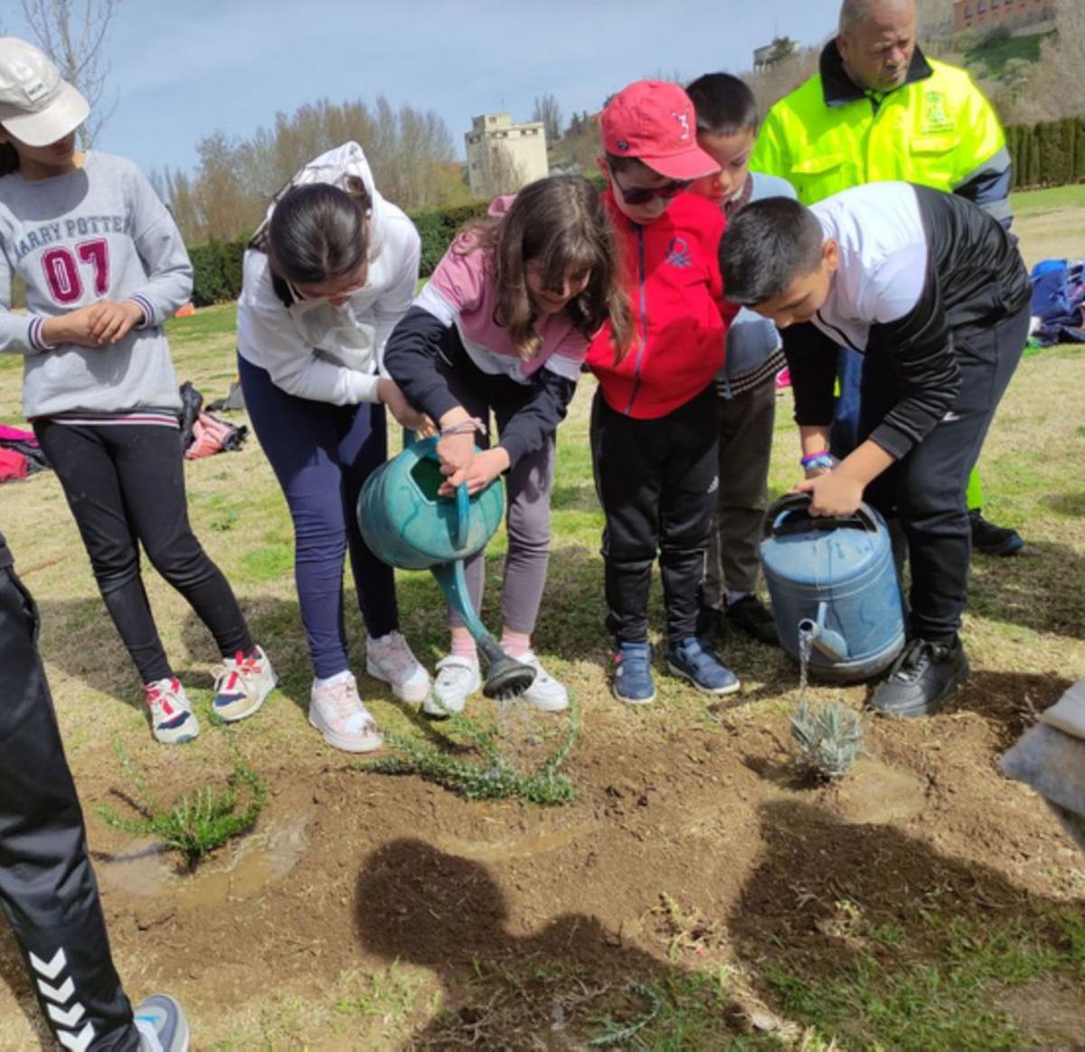 Alumnos procediendo al riego de las plantas. | E. P.