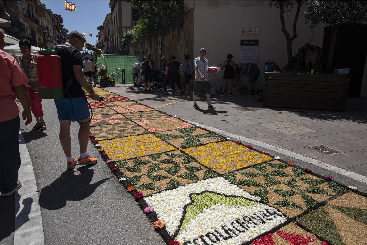 Catifes de flors d'Arbúcies