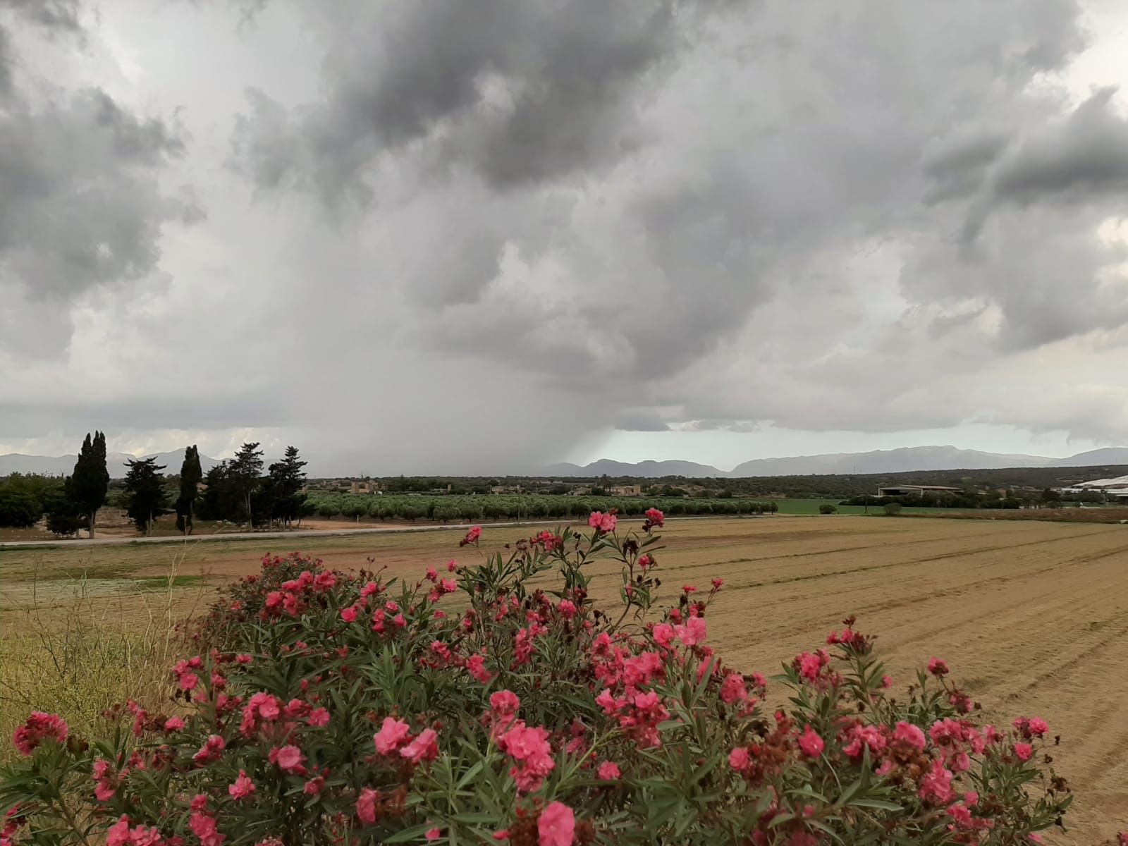 Unwetter über Mallorca