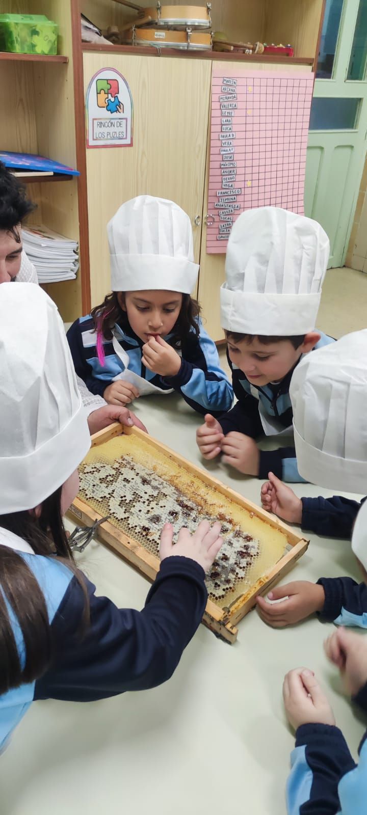 GALERÍA | Miel y chocolate en este colegio de Zamora