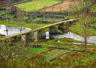 Artesanos de Galicia se encargarán de recuperar los molinos de Aliste