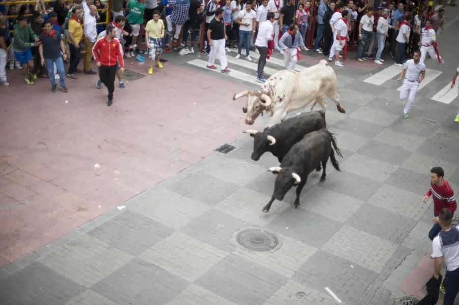 Becerrada, encierros y vaca de la sangría