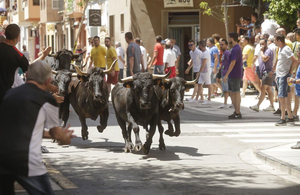 Festes de Sant Pere del Grau de Castelló