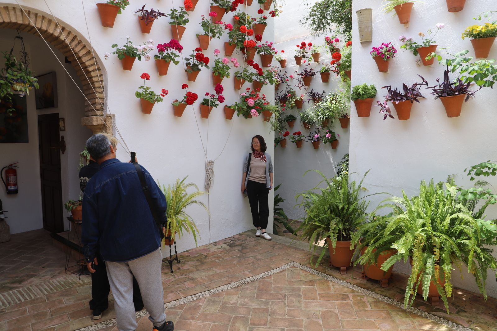 La Ruta 4 de los Patios de Córdoba, en imágenes