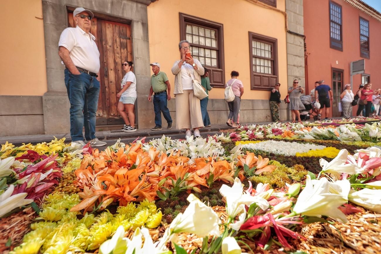 Alfombras del Corpus Christi en La Laguna