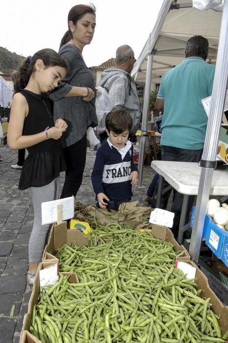 FIESTA DEL QUESO EN SANTA MARIA DE GUIA