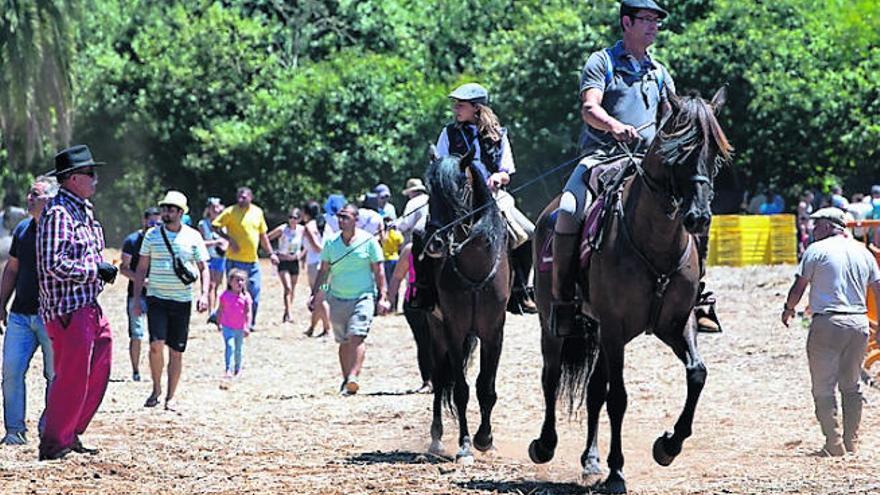 El Ayuntamiento recupera las carreras de caballos para las próximas fiestas del Pino